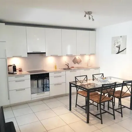 Residenza Vivian - Swan Apt 304 Lejlighed Locarno
